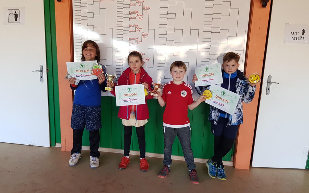 Pardubice – D. Černík